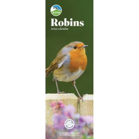 Robins RSPB 